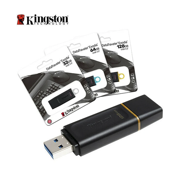 Memoria usb datatraveler Kingston