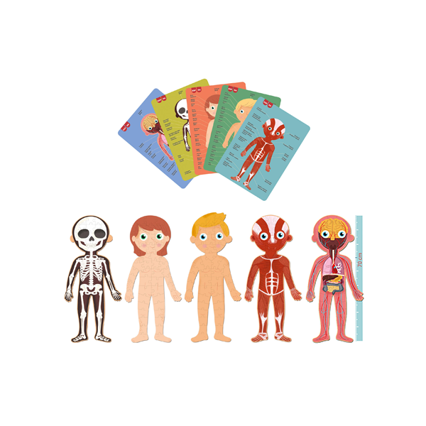 Puzzle el cuerpo humano
