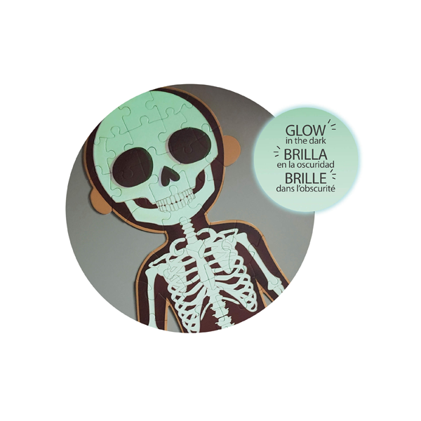 Puzzle el cuerpo humano