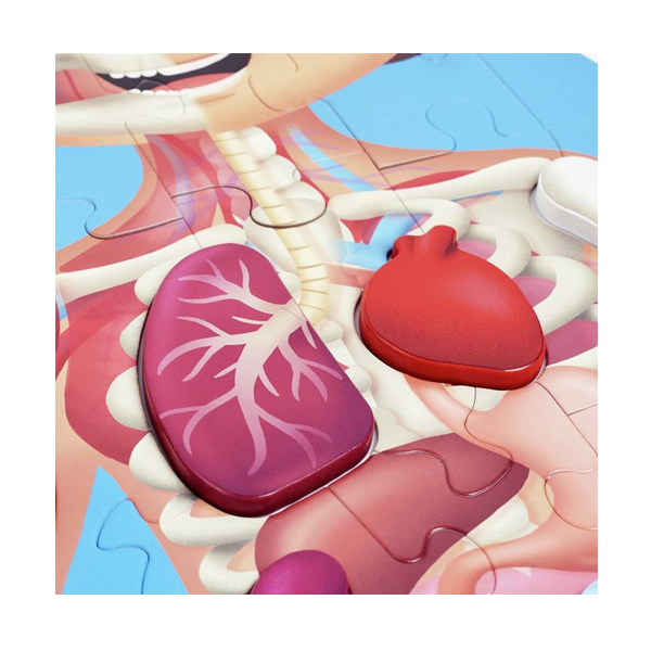Puzzle gigante el cuerpo humano